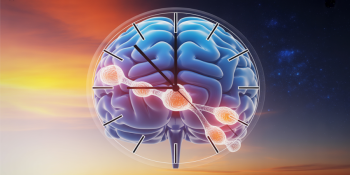 Luz, Horário, Ação: Os Três Pilares Para um Cérebro Protegido